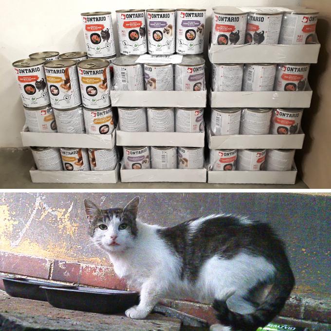 Nákladové nádraží Žižkov