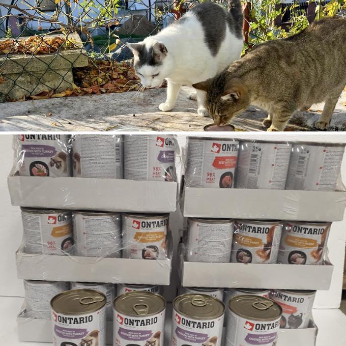 Opočnice