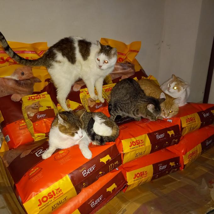 Krmná místa na Českobudějovicku