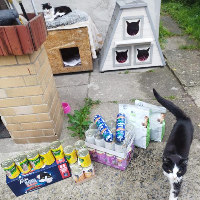 Horní Jiřetín - Sadová