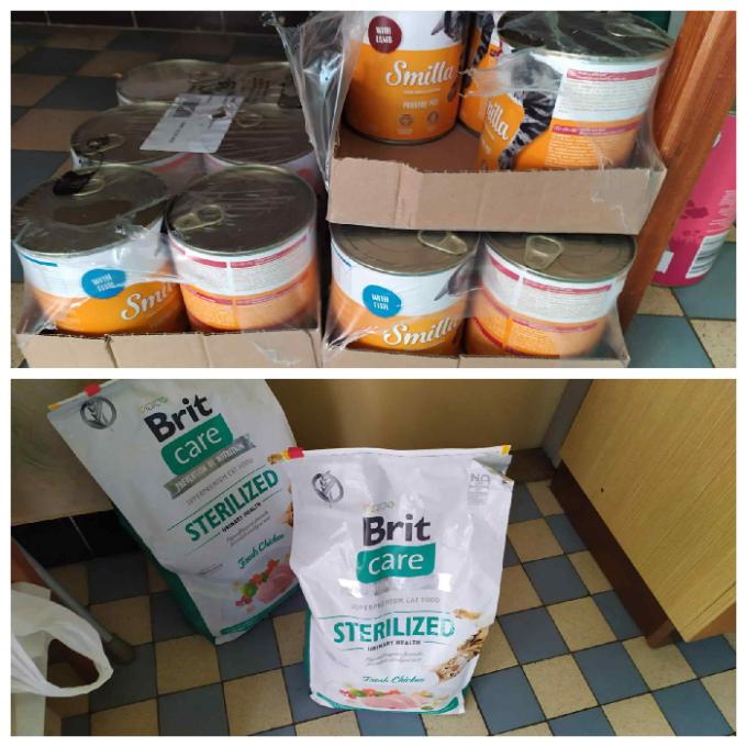 JAVORNÍK POD JEŠTĚDEM