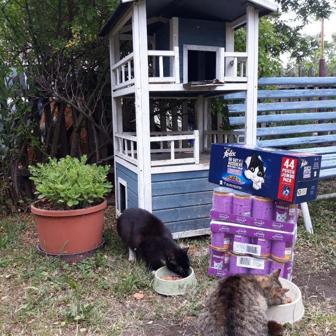 Horní Jiřetín - Černická