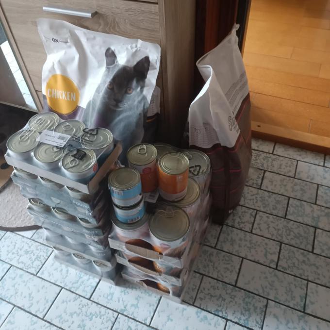 Kočky ze švýcarské zátoky na Vranově