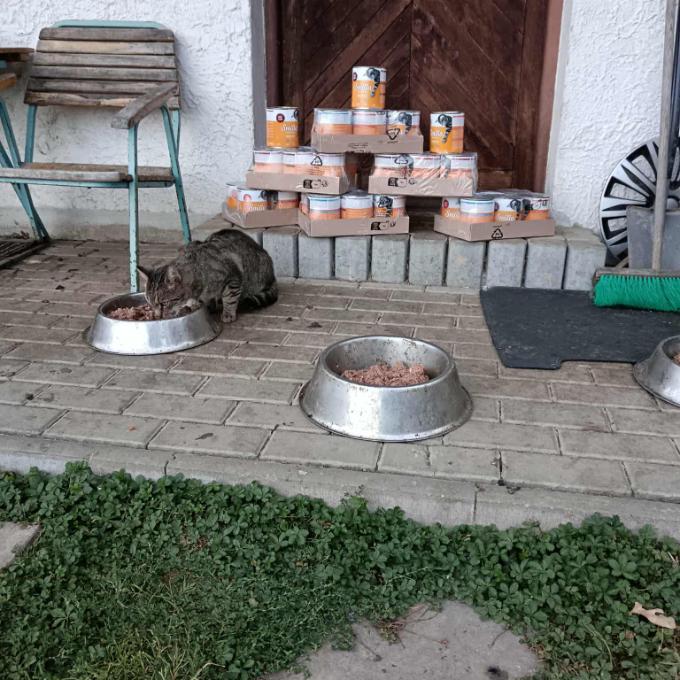 Chatová oblast Předenice