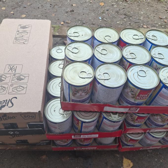 Bílá Voda v Orlických horách