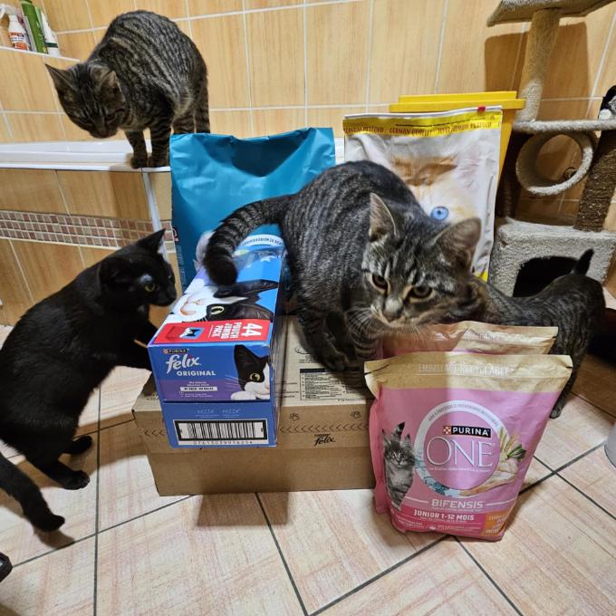 Česká Skalice - Spyta