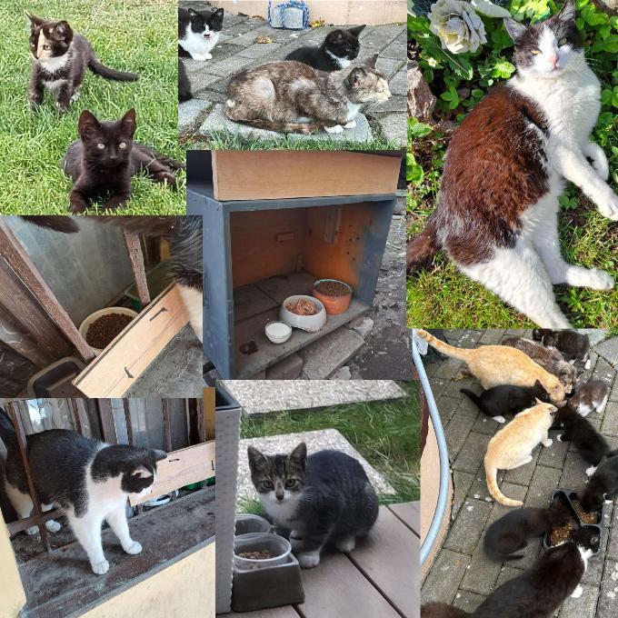 Jaroměř – Josefov