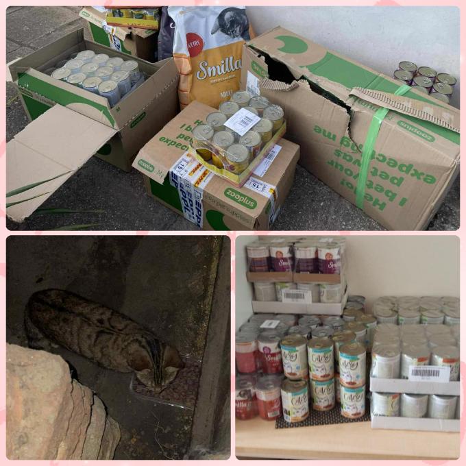 Kněževes u Rakovníka