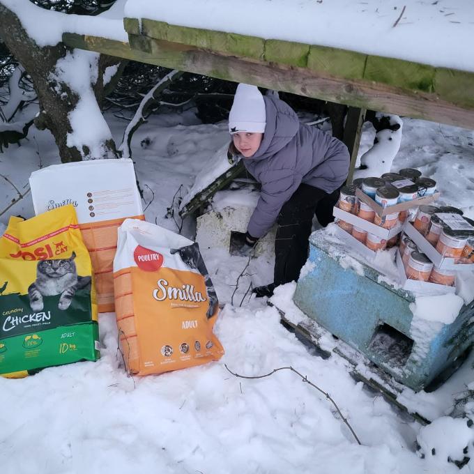 Mníšek v Krušných horách