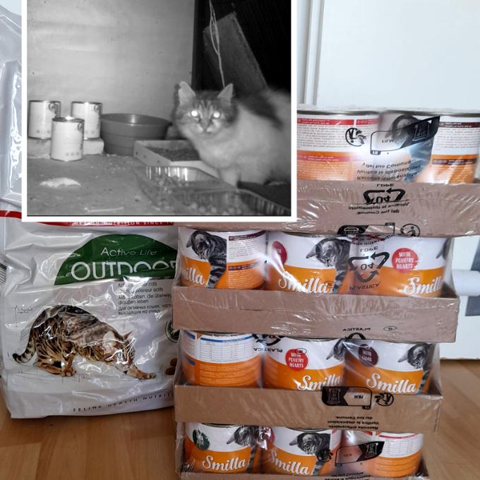 Nákladové nádraží Žižkov