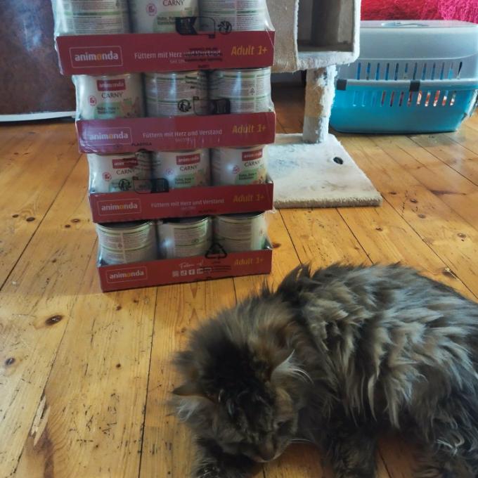 Kravín na Přešticku