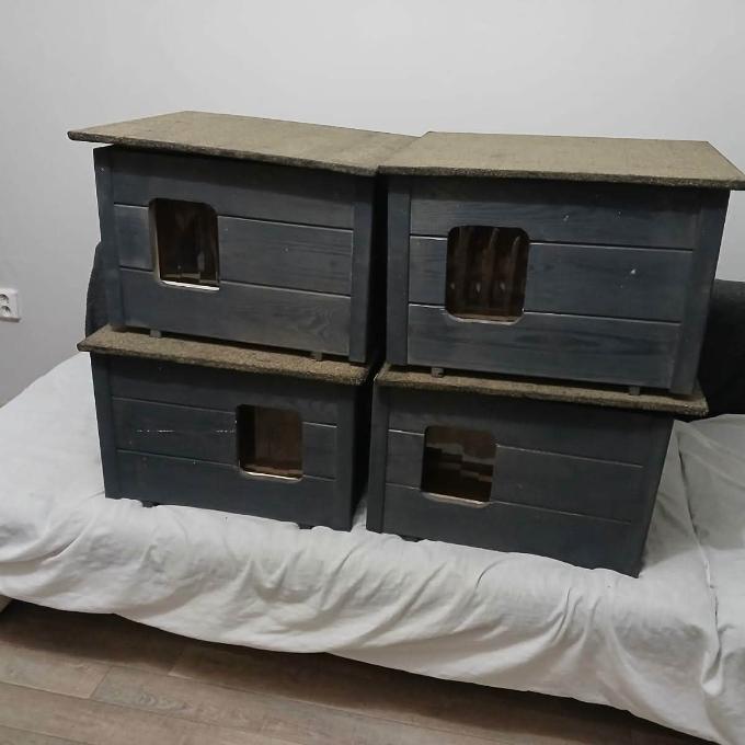 MOST – LES U BEZDOMOVCE