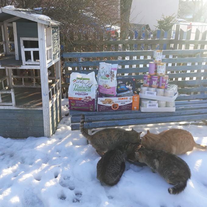 Horní Jiřetín - Černická