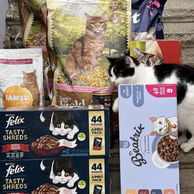 Poděbrady - východ