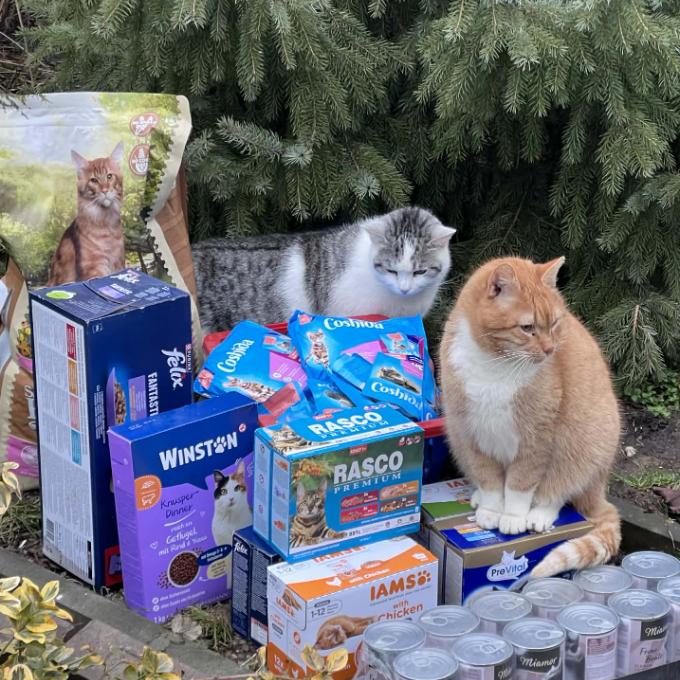 Úmyslovice u Poděbrad