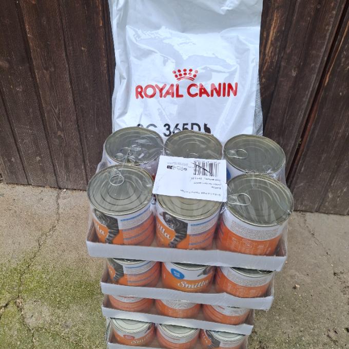 Bílá Voda v Orlických horách