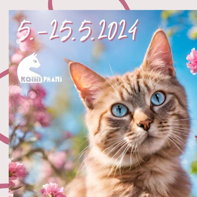 Reklama pro jarní Kočičí přání