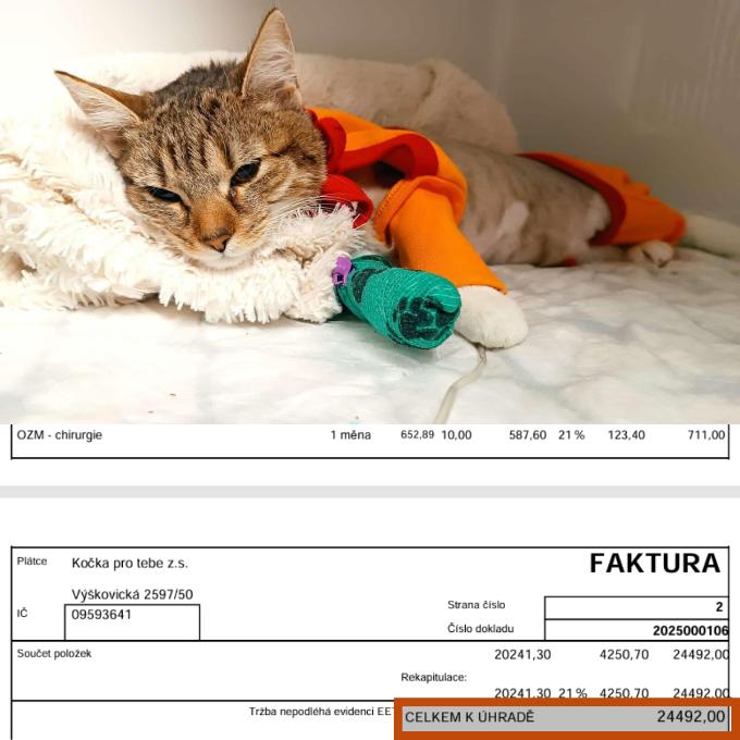 Úhrada faktury za malou Micku