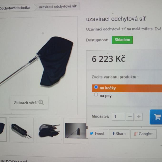 Odchytová síť