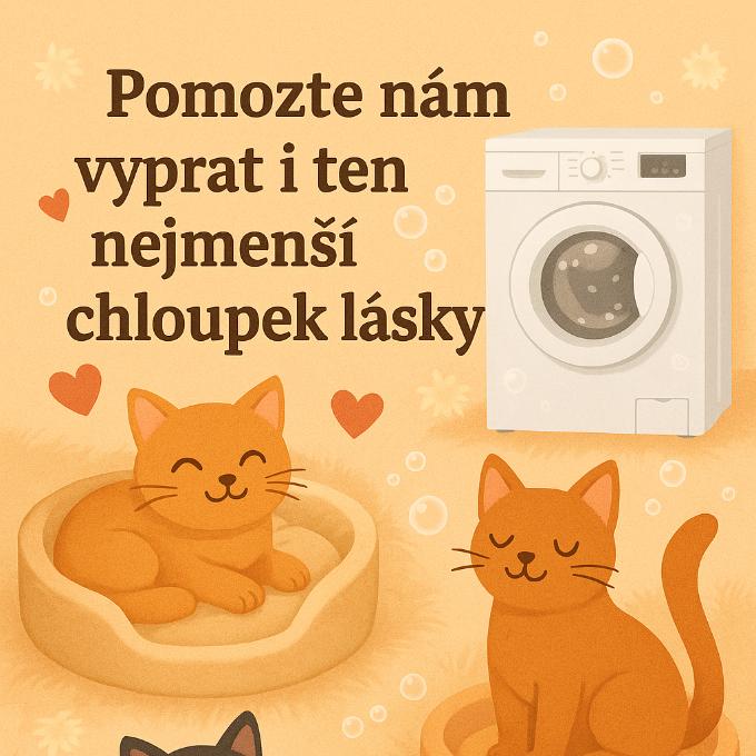 🐾 Pomozte nám vyprat i ten nejmenší chloupek lásky 🐾