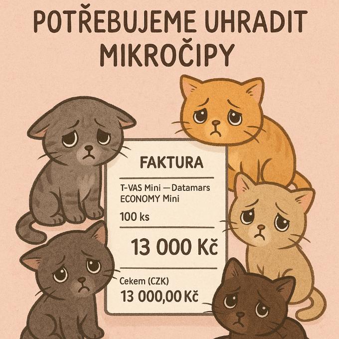 Čipy pro 100 kočiček - STOP BEZEJMENNÝM