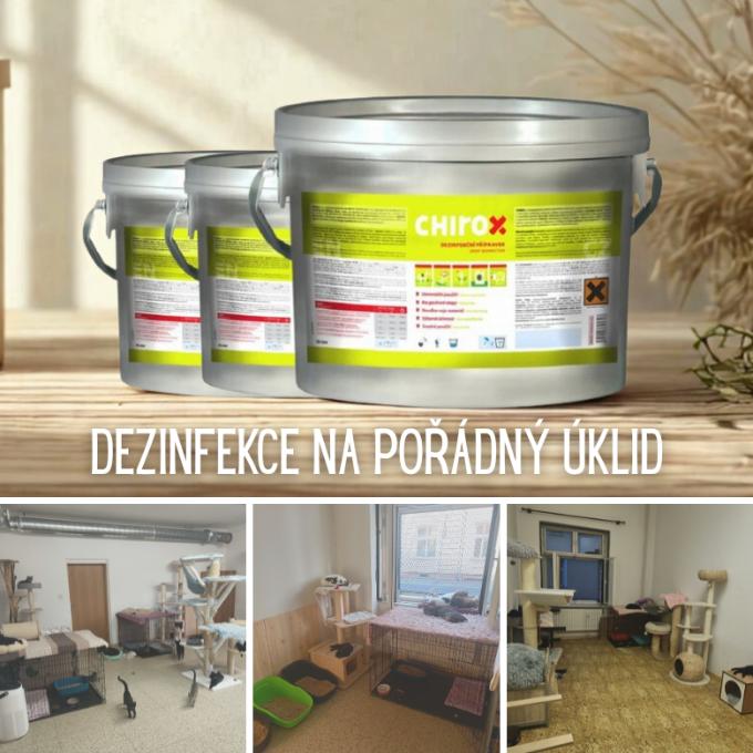 Dezinfekce na pořádný úklid