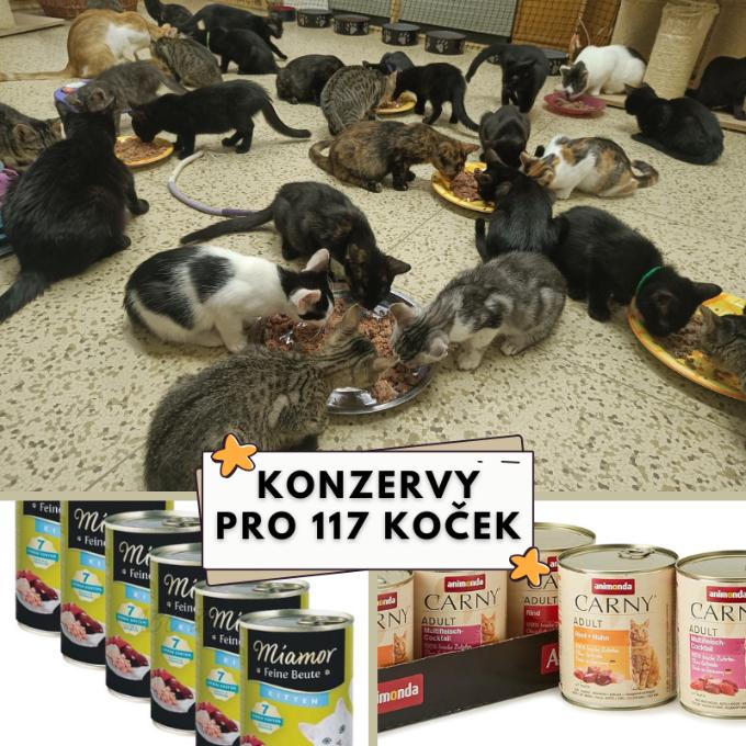Konzervy pro 117 koček
