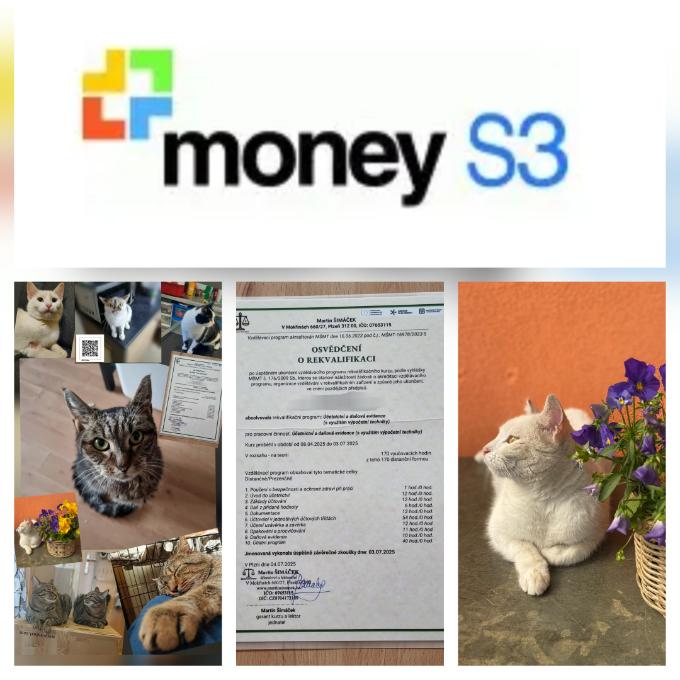 Účetní program Money S3
