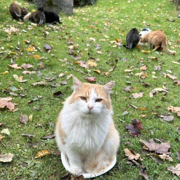 Podzimní zásoba konzerv pro lokality