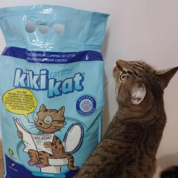 Stelivo kočičkám z Šance pro kočku