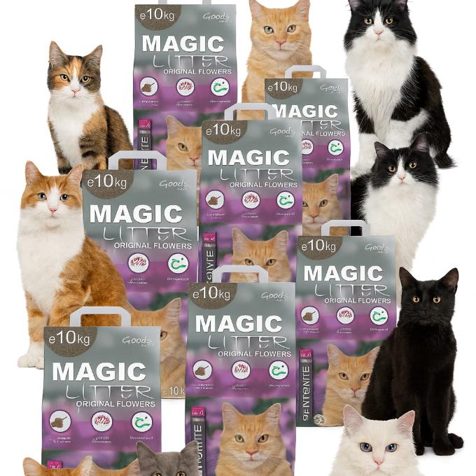 Kousek ze Sahary aneb trocha písku