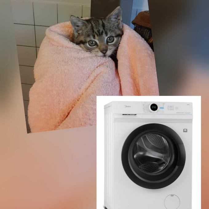 Pračka do karantény