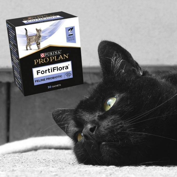 Na bolavá kočičí bříška