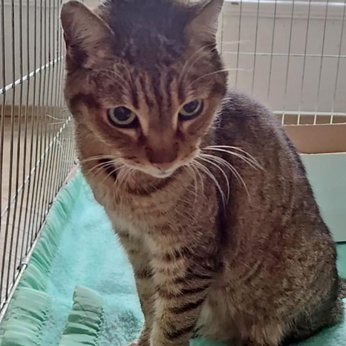 Pomůžete mi se opět nadechnout?