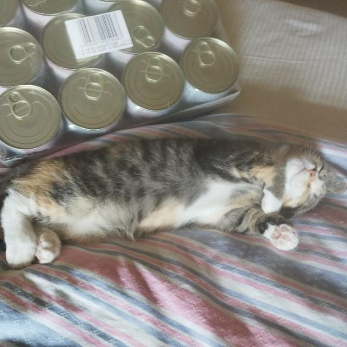 Krmení pro spokojená bříška