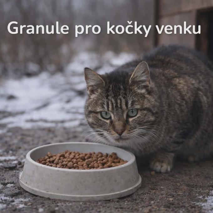 Krmení pro venkovní kočky