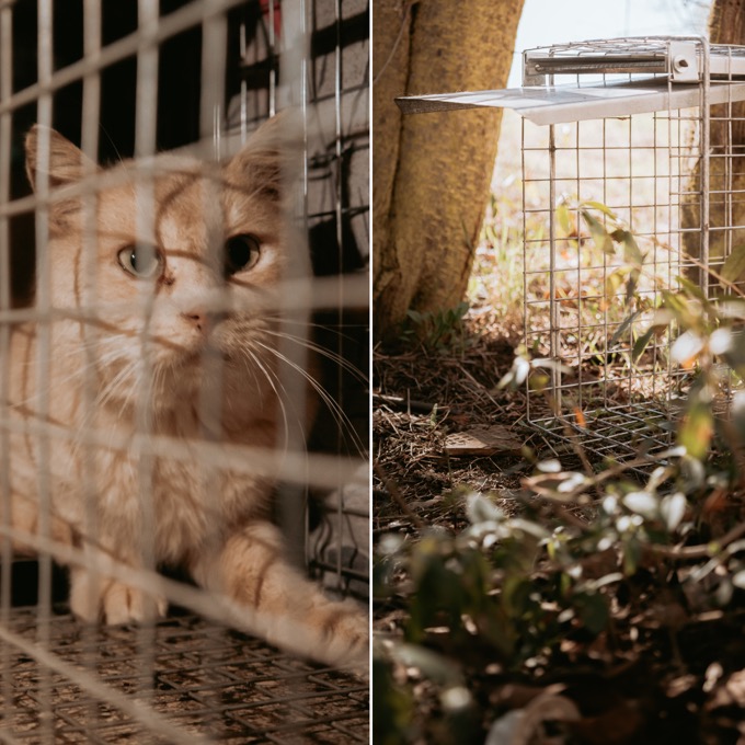 Odchytová technika pro Fousek