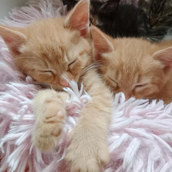 Dvojitá dávka naděje