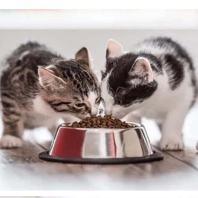 Kvalitní granule pro Šonováčky