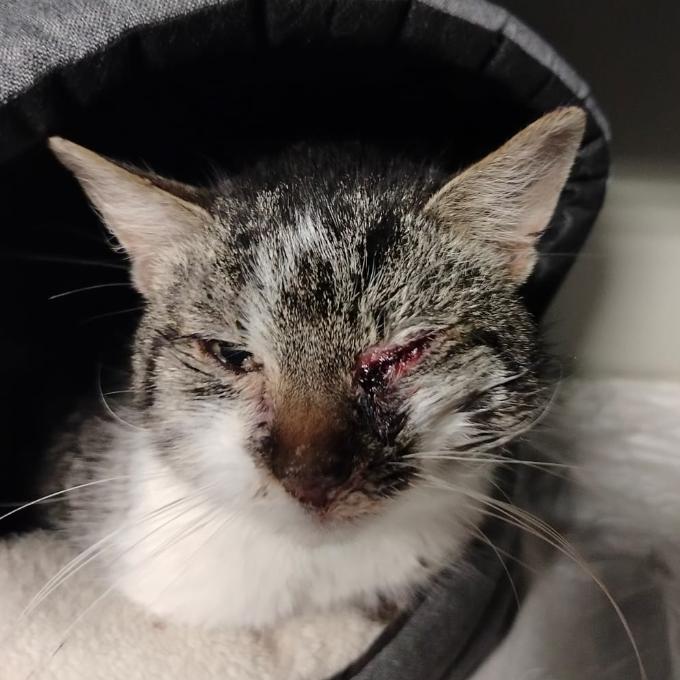 Pomoc pro Kabrňáka