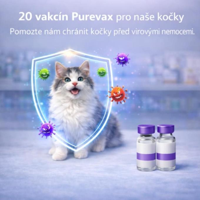 Očkování pro naše kočky