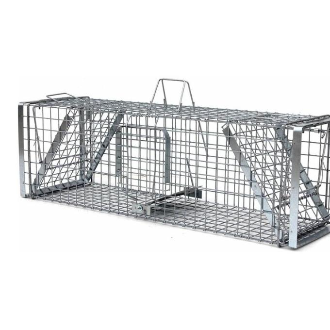 Sklopce na plaché kočičky