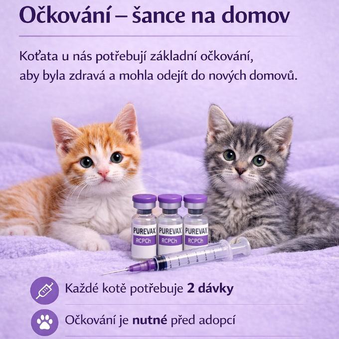 OČKOVÁNÍ = šance na domov