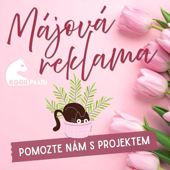 Reklama pro jarní Kočičí přání