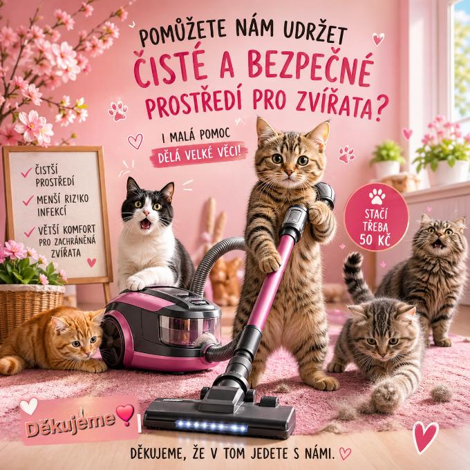 Nový tyčový vysavač