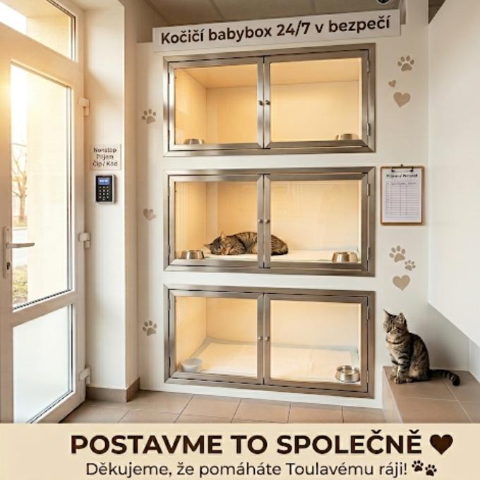 KOČIČÍ BABYBOX: Bezpečné útočiště bez strachu a čekání! ❤️