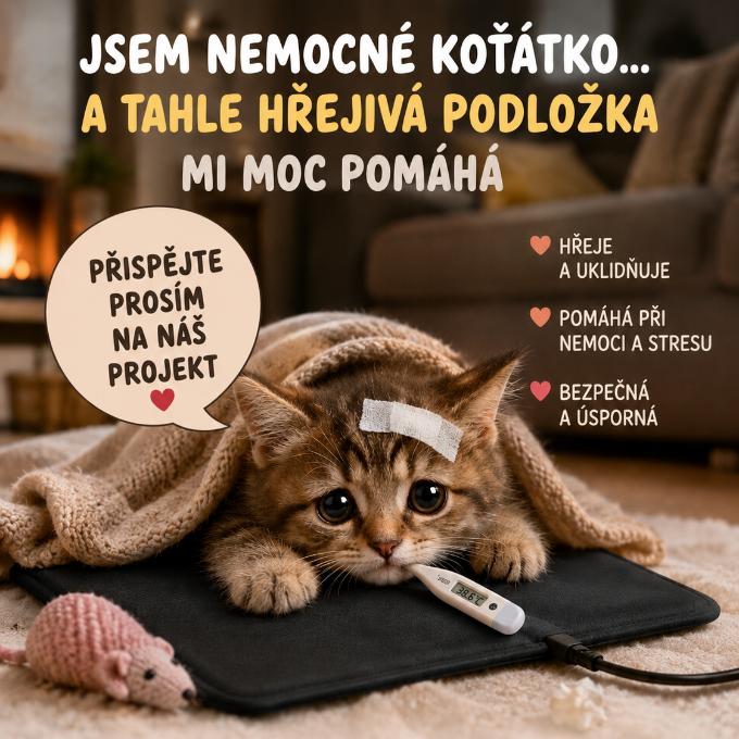 Pomoc pro miminka a nemocné kočičky