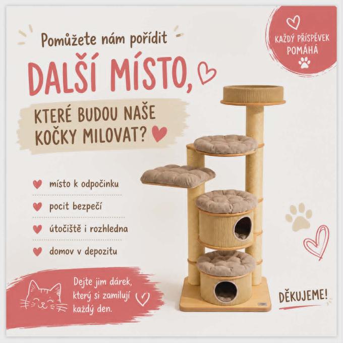 Pomůžete našim kočkám získat další krásné místo k odpočinku?