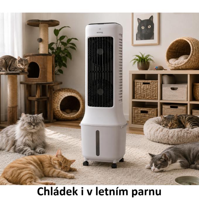 Chládek i v letním parnu