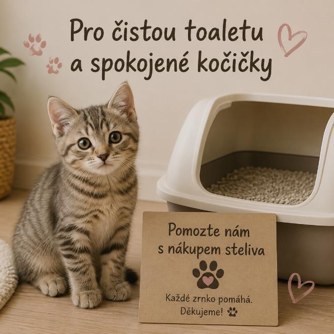 Stelivo pro pohodu kočiček u Fousků